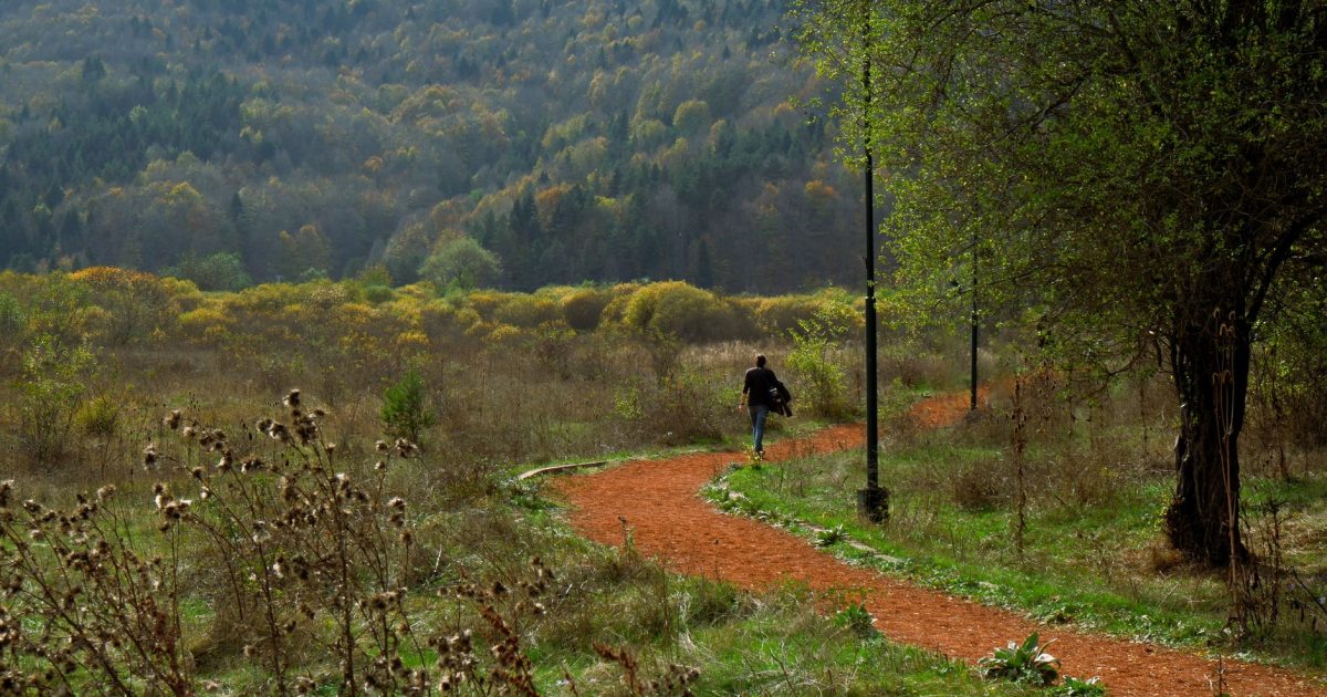 Etapas del Camino Portugués: distancias, desnivel y dificultad
