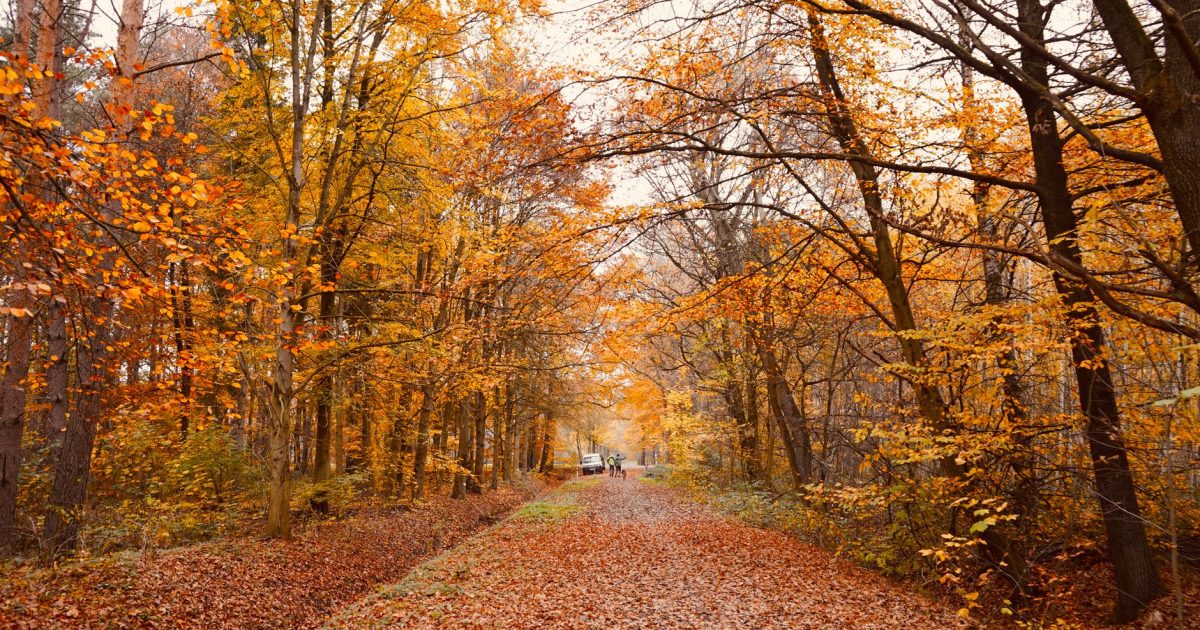 Camino de Santiago en otoño: menos multitudes, mejor clima
