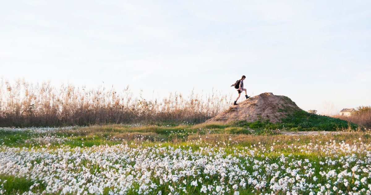 Camino de Santiago en primavera: floraciones, temperaturas ideales y menos lluvia