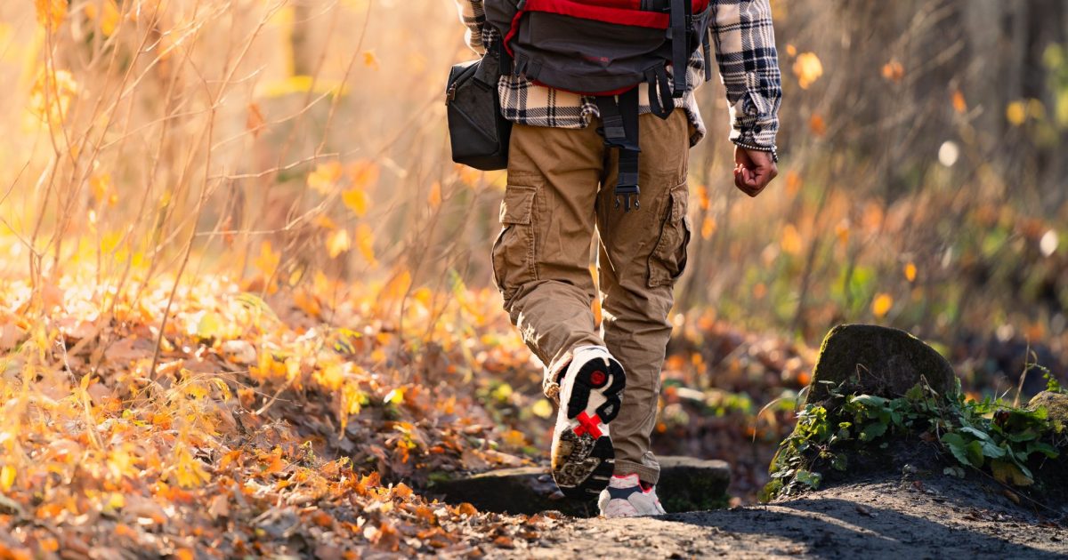 Transporte de mochilas en el Camino: empresas, precios y cómo funciona