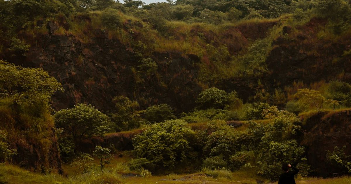 Camino Primitivo vs Francés: diferencias de dificultad, paisaje y experiencia