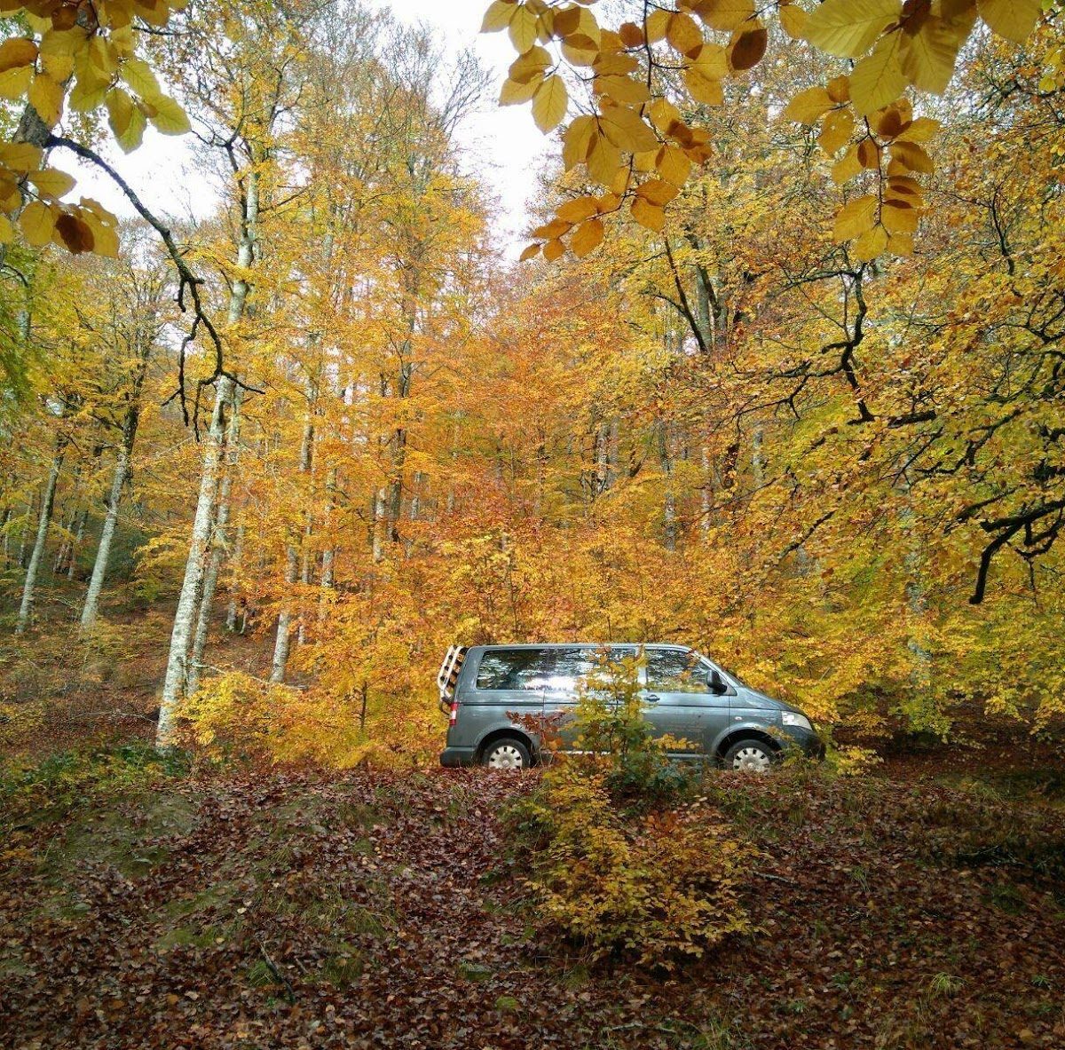 Taxi AUÑAK - Roncesvalles - Aezkoa - Garralda
